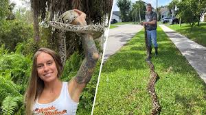 NBC 6 South Florida - News update