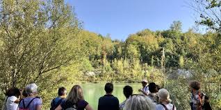 Sud Ouest - News update