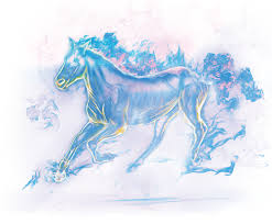 Image result for IRAN HORSES