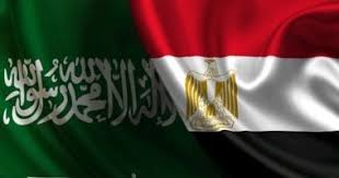 اليوم السابع - News update