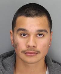 Eduardo Zavala, 18, as well as an unnamed 17-year-old male juvenile, were cited for misdemeanors about 10:30 p.m. Monday after two officers were dispatched ... - 012313-Zavala-225