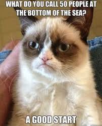 Grrr-umpy Cat on Pinterest | Funny Grumpy Cats, Grumpy Cat Quotes ... via Relatably.com