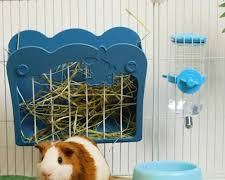 guinea pig supplies: cage, food bowl, water bottle, hay rack, hideoutの画像