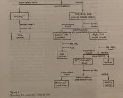 Image of flowchart for Group II Cations