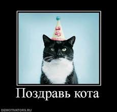 https://encrypted-tbn3.gstatic.com/images?q=tbn:ANd9GcRstSXNMM0C96KRoG_WiqSIuH9e65XfRlT1nwW3vdoL8bjId1BK