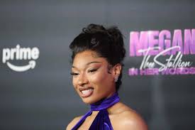 Megan Thee Stallion says love found her when she least expected it