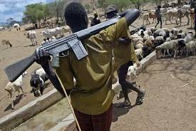 Image result for agatu