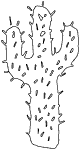 Résultat de recherche d'images pour "cactus coloring pages"