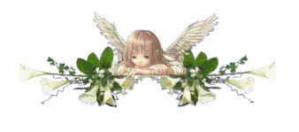 images?q=tbn:ANd9GcRt3JrNrTEyl4BAoe4J6me