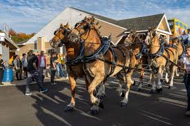 Topsfield Fair 2025: A Family-Friendly Tradition