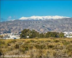Imagen de Paisajes Sierra de Gádor Almería