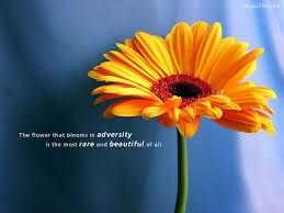 Image result for inspirational pictures