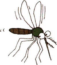 Bildergebnis für Mücke