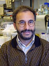 Dr. Ahmed Mansouri Max Planck Institute for Biophysical Chemistry Molecular Cell Differentiation Group Am Fassberg 11 37077 Göttingen Germany - 1539248c61447f3e954690da1cb974e7