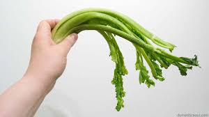 Image result for celery