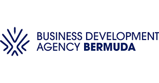 Trend Google: bermuda