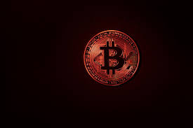 BitHub.pl - News update