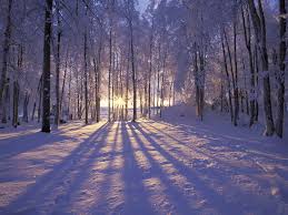 Image result for december