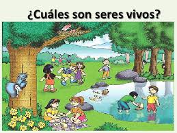 Resultado de imagen para SERES VIVOS