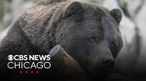 CBS News - News update