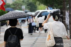 뉴시스 - News update