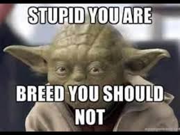 Yoda Quotes on Pinterest | Thoughts Of You, Twilight and Laughing ... via Relatably.com