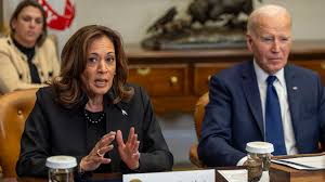 Kamala Harris Admits Concerns About Biden's Re-election Campaign