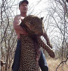 Image result for cecil lion