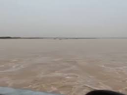 دجله پرآب شد