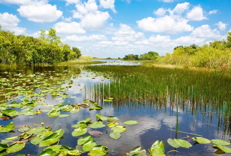 Everglades National Park