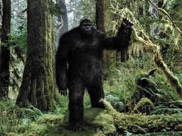 Image result for bigfoot throws rocks