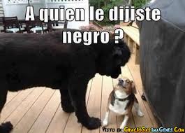 Resultado de imagen para memes chistosos