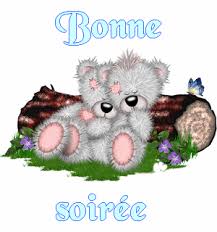 Résultat de recherche d'images pour "bonne soiree"