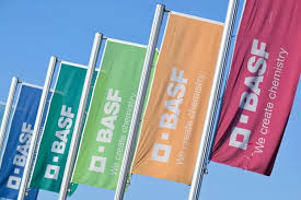 Die Rheinpfalz - News update