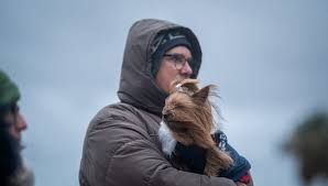 ¡Nieve en Uruguay? Pronóstico anticipa ola de frío polar y posible nevada
