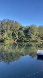 Gold Coast Bulletin - News update