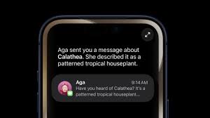 ios 26.6