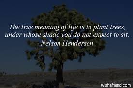 Nelson Henderson Quote: The true meaning of life is to plant trees ... via Relatably.com