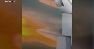 Flames shoot out of plane's engine shortly after takeoff in South Carolina due to apparent bird strike