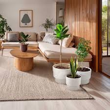 Amazon.com : Galt International Set of 3 (8", 10", 12") Mid Century Modern Off White Flat Ribbed Ceramic Planter Pots Flower Pot Indoor House Plants Decor w/Drainage Hole & Plug : Patio,