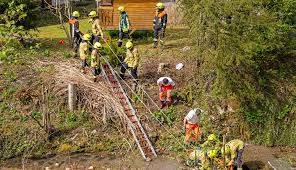 82-Jährige stürzt mehrere Meter in Höllgraben-Bach