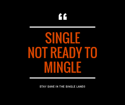 Single NOT ready to Mingle! » StAy SaNe in the SiNgle LaNe© via Relatably.com