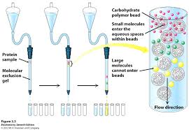 Image result for GEL CHROMATOGRAPHY