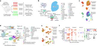 Unveiling the Local and Systemic Response Dynamics to Human SARS-CoV-2 Challenge - 1