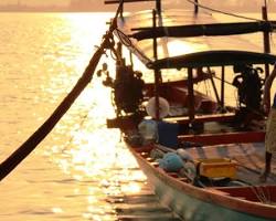 Image of Cambodian Cultural Immersion Program