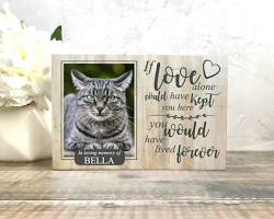 marco de fotos gato memorial con recuerdos cat memorial photo frame collage，AI 生成