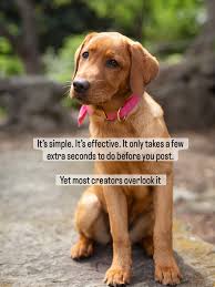 Here's the truth: people scroll fast. If you don't tell them what to do next, they probably won't. That's where a strong call to action comes in—it can turn scrollers into actual