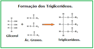 Resultado de imagem para esterificação