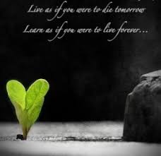 Funny Quotes About Life Love And Happiness - funny quotes about ... via Relatably.com