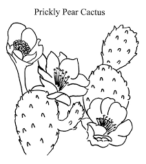 Résultat de recherche d'images pour "cactus coloring pages"